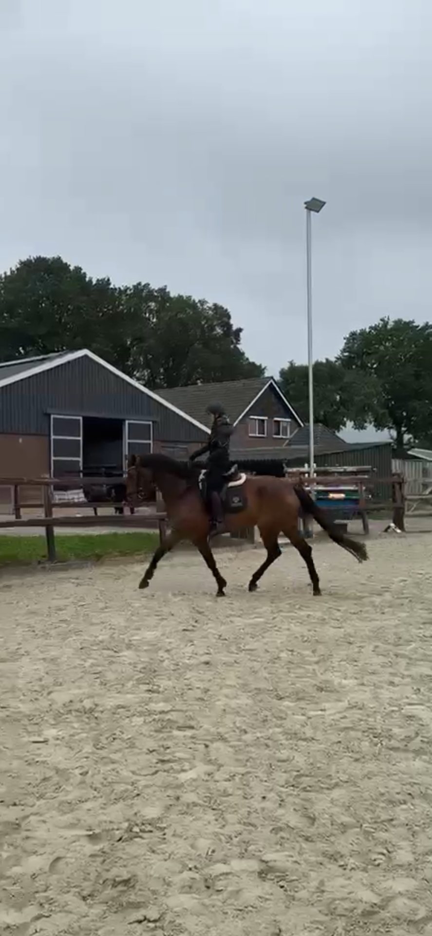 Foto 3 van Super brave 4-jarige ruin